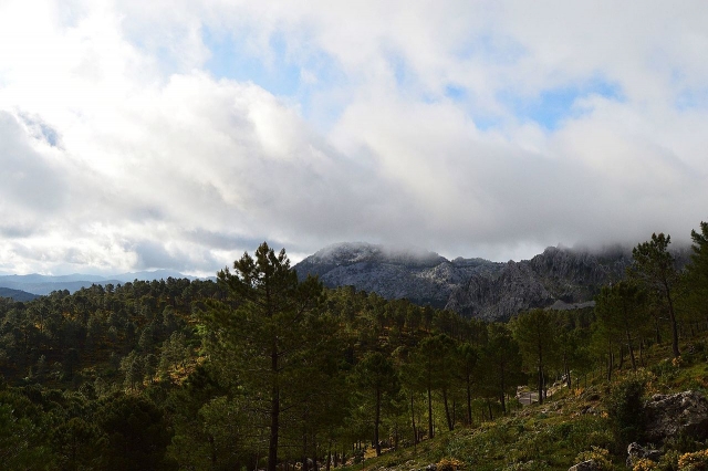  Sierra de Grazalema 自然公园