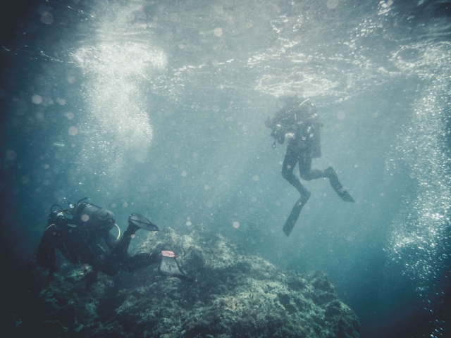  Diving 