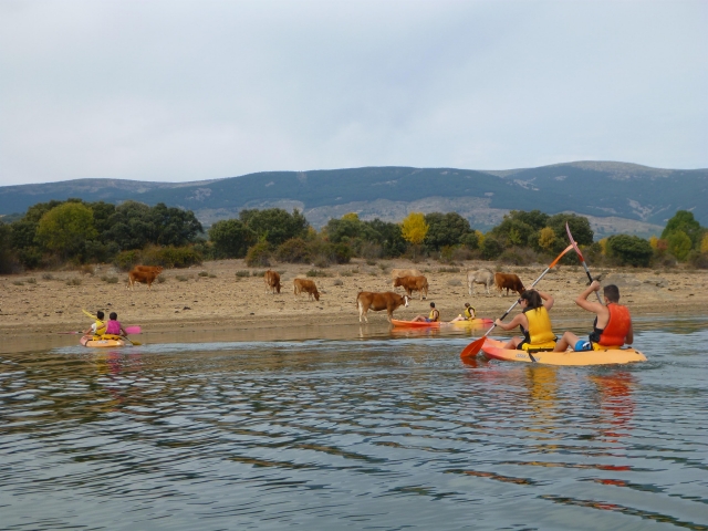  Canots dans le réservoir