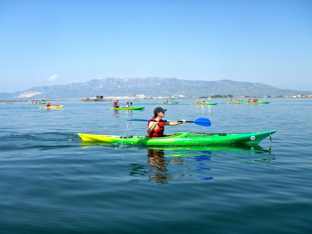  Kayak Bahía de los Alfacs 