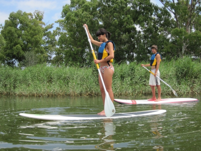 Aprendiendo a remar