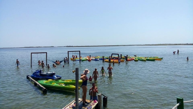 Alquiler de kayak en Delta del Ebro