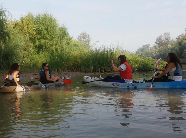 Navegar em canoa 