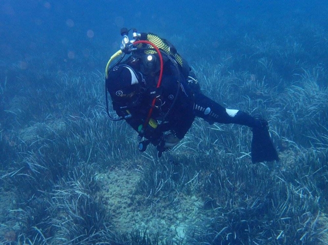  Seeing the seabed 