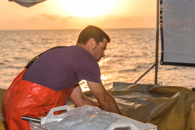 Actividad de pesca