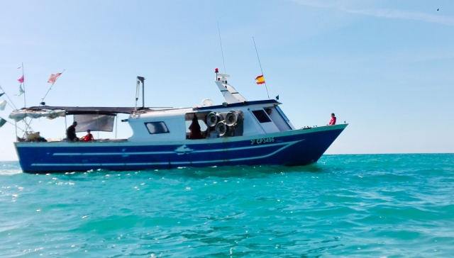Barco pesquero