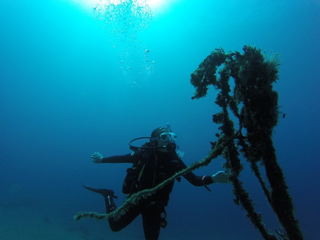  diving for two 