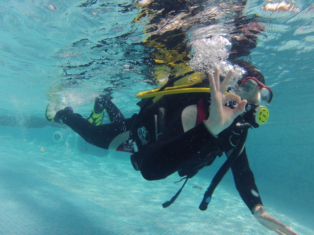  Beginning the dive 