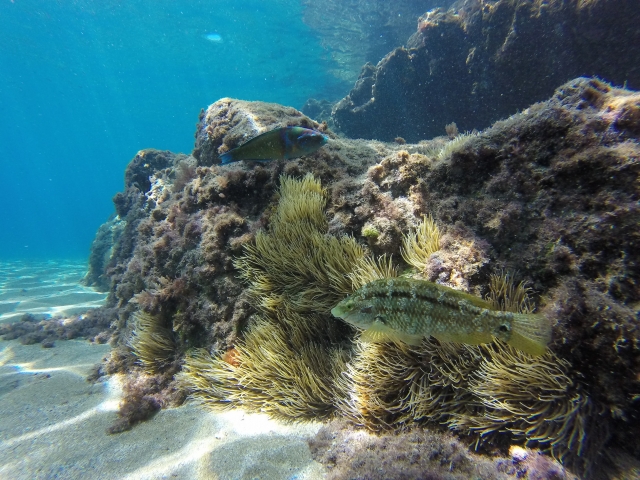  Marine depths 