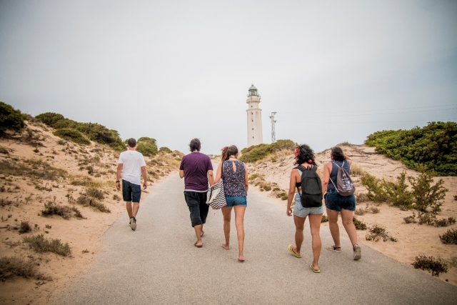  Route des phares et des tours 
