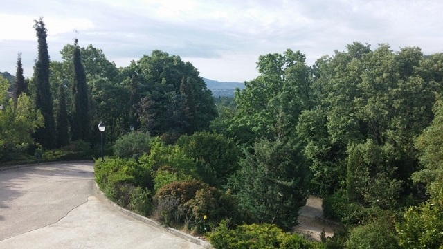  风景