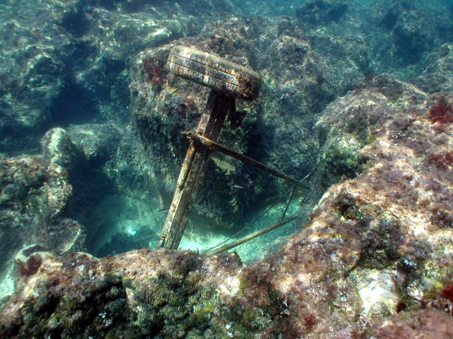beauté marine 