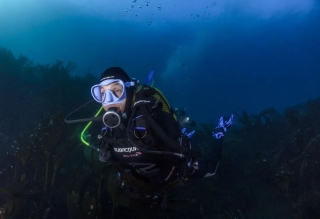 Curso PADI Advanced Open Water Diver en Foz