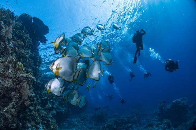潜水浸入