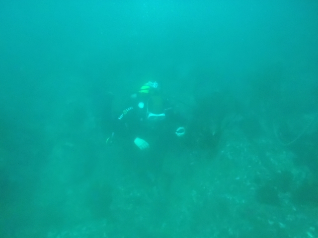 Buceo romántico