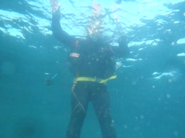 Experiencia de buceo para parejas