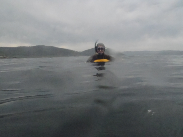  Caça submarina em Viveiro 
