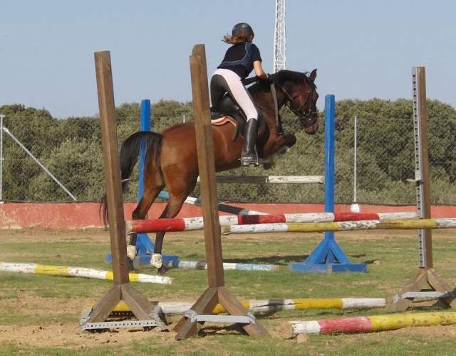  Faire des sauts à cheval