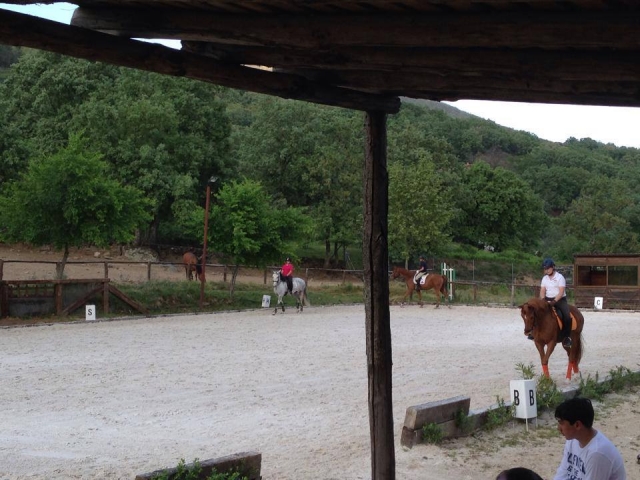 Horseback riding class in Gredos 