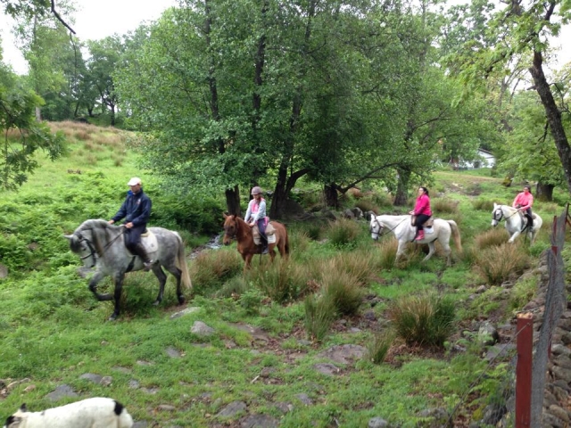  Horseback riding through Ávila 