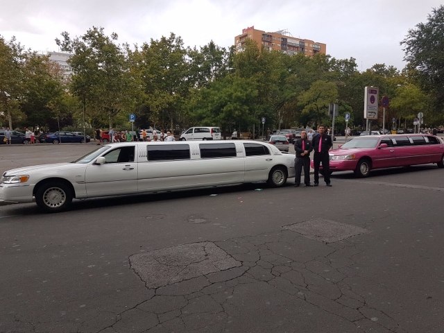 Parked limousines 