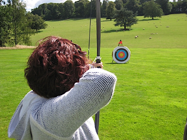 Farewell party with archery 