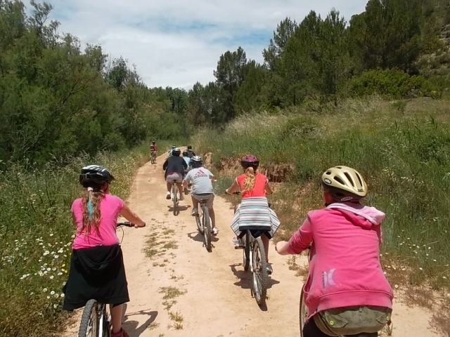 Pédaler en VTT 