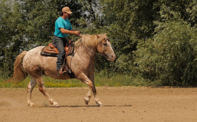 Subiendo a caballo