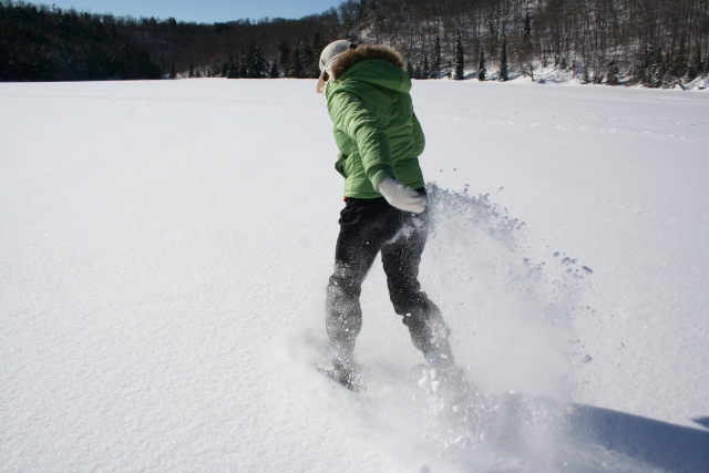  godersi la neve 