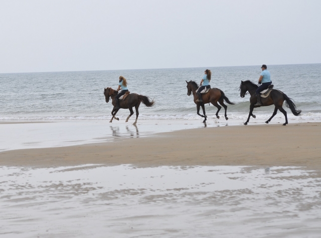 Experiencia a caballo en Doñana