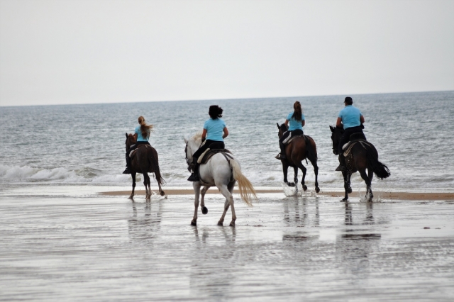 Podras montar a caballo en la orilla del mar