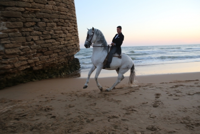 Ruta a caballo para experimentados