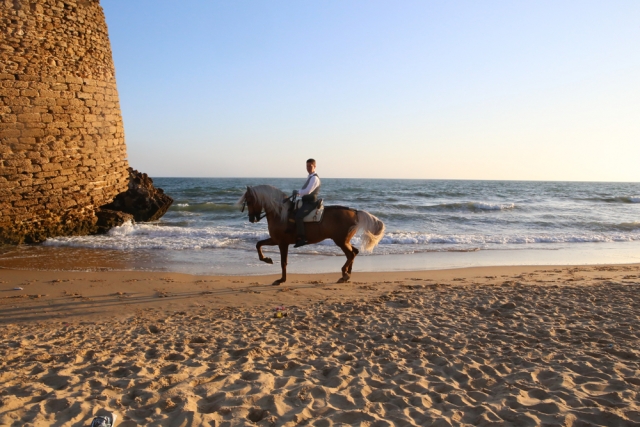 Una ruta a caballo muy exclusiva