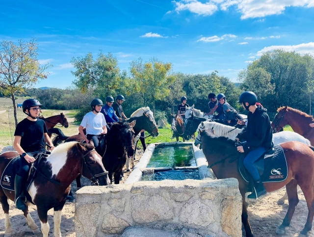  Arrêt pour les chevaux boivent de l'eau 