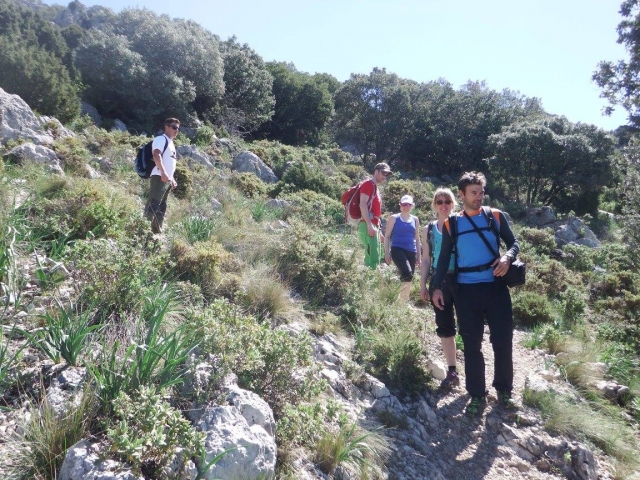 Promenade dans la nature 