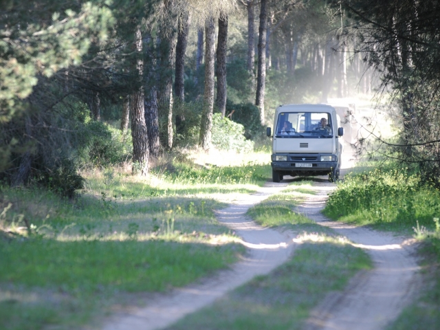 Ruta en nuestro vehículo