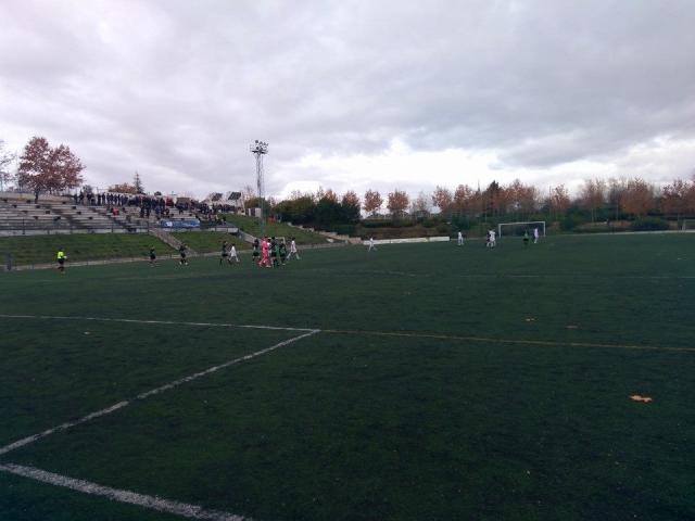 Cesped en el campo