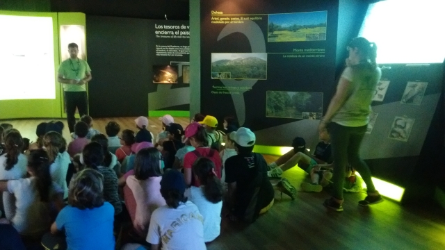  Enfants aventureux 