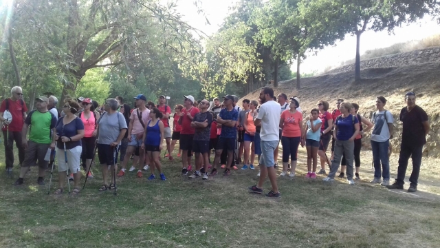 Molins route group 