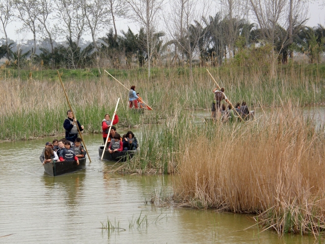 Pesce persico sull'Ebro 