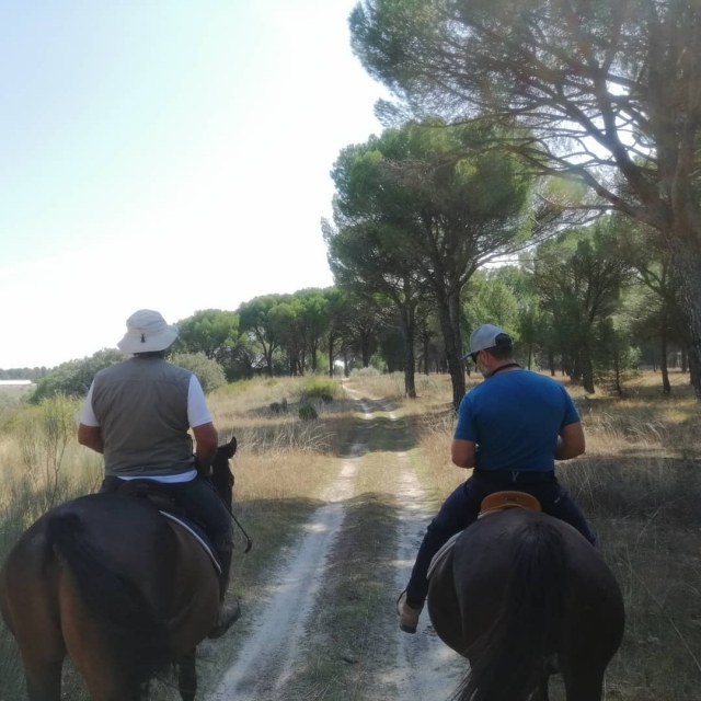  Sotto i pini a cavallo