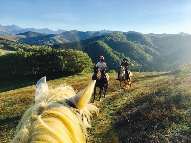  Vedere i verdi paesaggi dal cavallo 