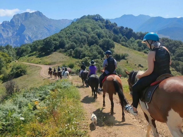  Live an authentic horseback riding adventure 