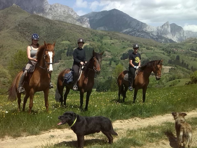 Paseo a caballo para niños