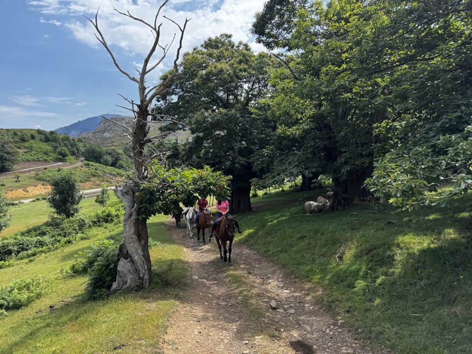 Horseback riding route Horseback riding route