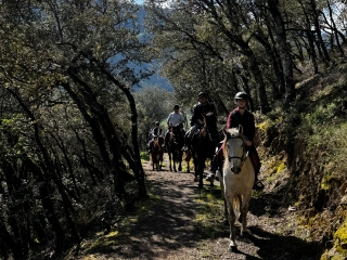 Horse route next to the Picos de Europa, 1'5h