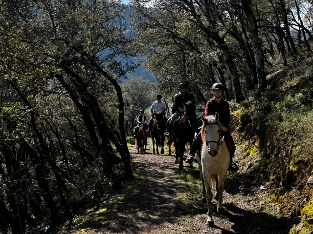 Horse route next to the Picos de Europa, 1'5h