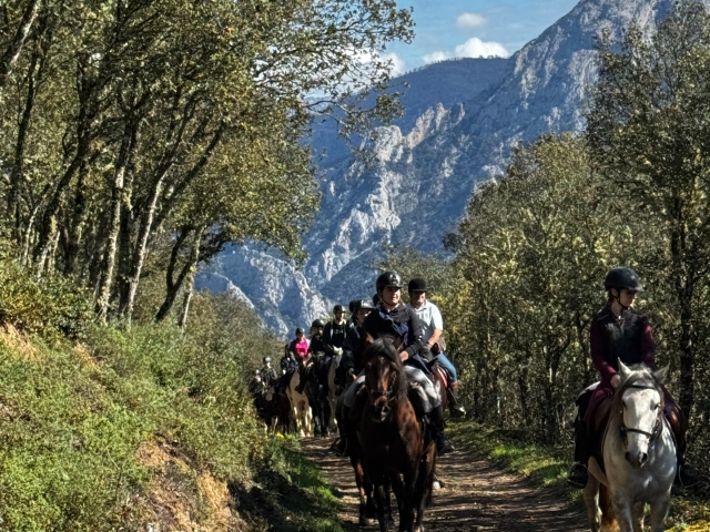 Horse route next to the Picos de Europa, 2h