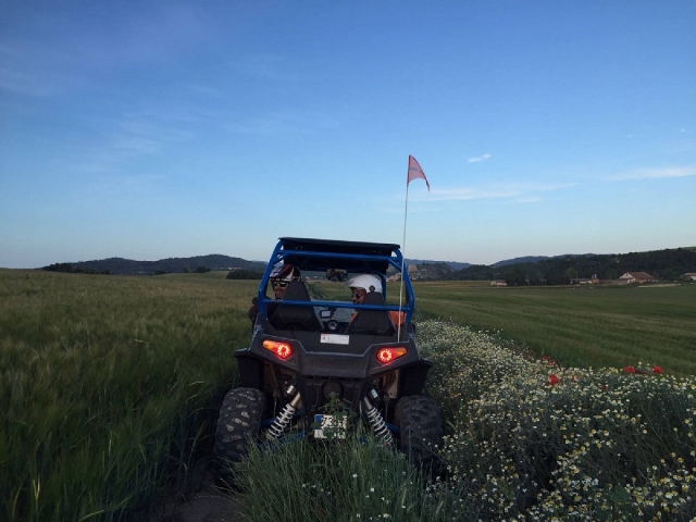  Buggy von hinten 