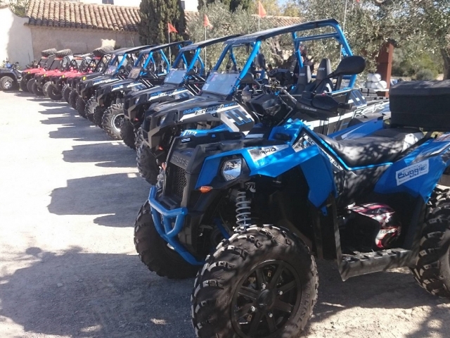  Reihe geparkter Buggys 